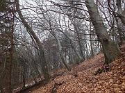 Salita al MONTE COLOMBINA (1459 m.) da Bossico il 3 aprile 2013 - FOTOGALLERY